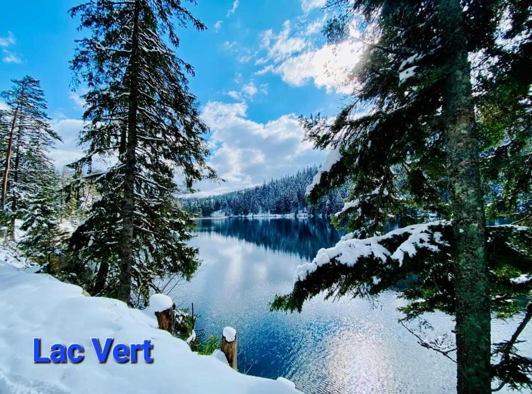 Gite Au Petit Verger Masevaux-Niederbruck Экстерьер фото