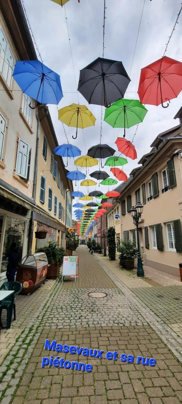 Gite Au Petit Verger Masevaux-Niederbruck Экстерьер фото