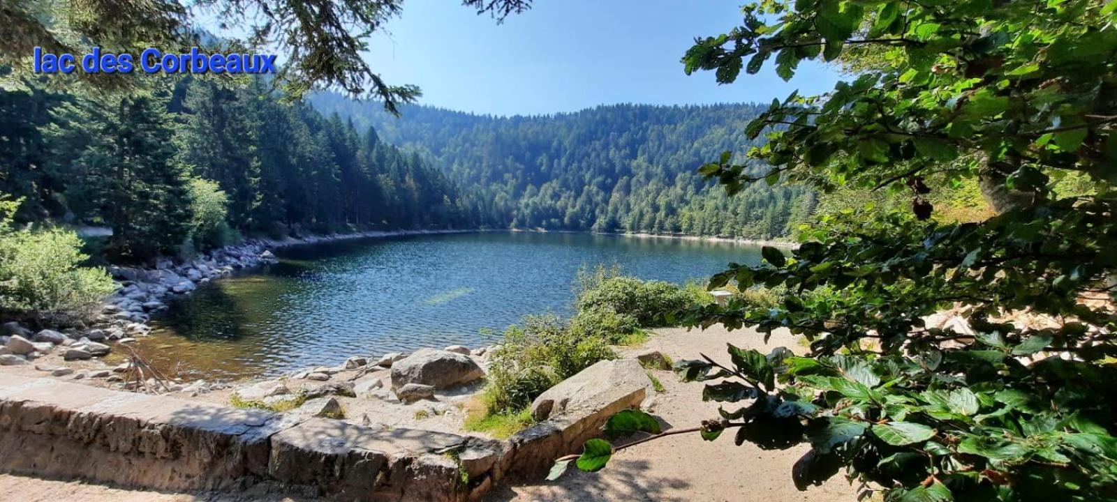 Gite Au Petit Verger Masevaux-Niederbruck Экстерьер фото